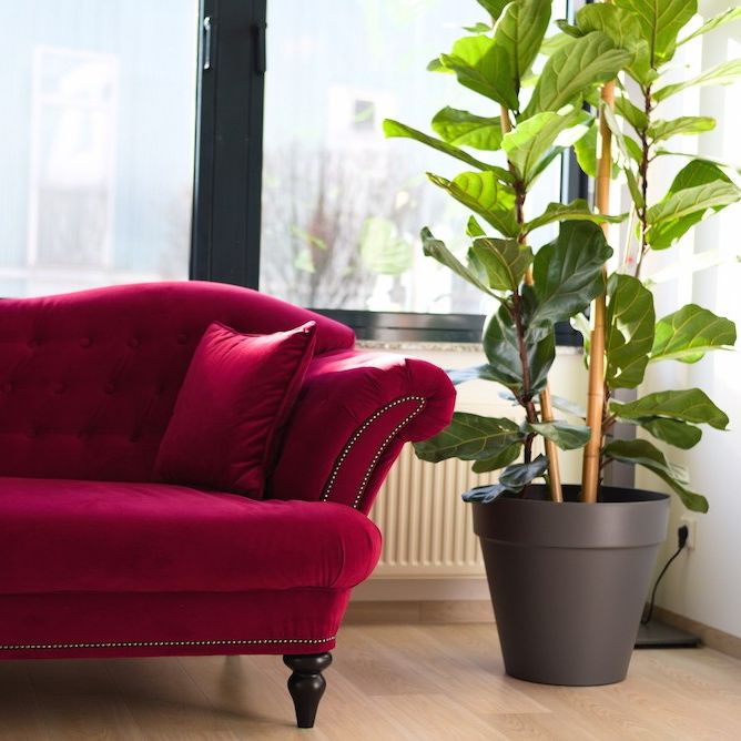 Osteopathie München Gesundzimmer - Osteopathin in München Westend/Schwanthaler Höhe, Laim